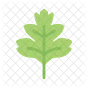 Oak Leaves Organic Icon