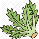 Oak Leaf Salad Icon