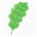 Nature Tree Seasons Icon