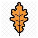 Oak Nature Leaf Icon