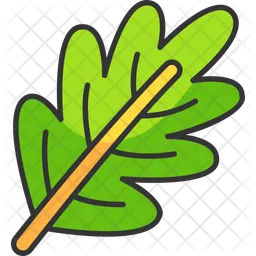 Oak leaf  Icon
