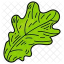 Oak Leaf Leaf Foliage Icon