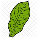 Oak Leaf  Icon