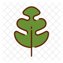 Oak Leaf Oak Leaf Icon