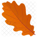 Oak Leaf Leaf Autumn Leaf Icon