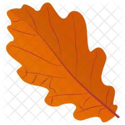 Oak Leaf  Icon