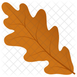 Oak Leaf Icon