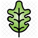Oak Leaf Tree Plant Icon