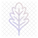 Oak Leaf Plant Icon