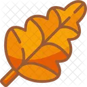 Oak Leaf Plant Leaf Icon