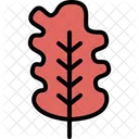 Oak leaf  Icon