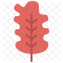 Oak leaf  Icon