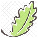 Oak Leaf Leaf Green Icon