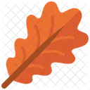 Oak Leaf Leaves Oak Icon