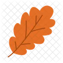 Oak Leaf Tree Leaf Autumn Symbol Icon