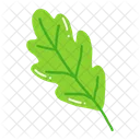 Leaf Ash Leaf Beech Leaf Icon