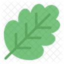 Oak Leaf Leaf Botanical Icon