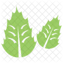 Toothed Two Leafy Icon