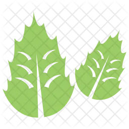 Oak Leaves  Icon