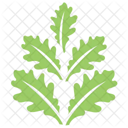Oak Leaves Design  Icon