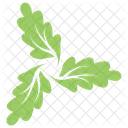 Swirl Leafy Floral Icon