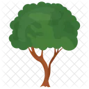 Round Woods Oak Icon