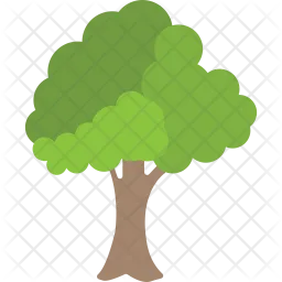 Oak Tree  Icon