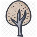 Oak Tree  Icon