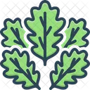 Oaks Leaf Tree Icon