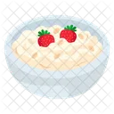 Oatmeal Bowl Food Breakfast Icon