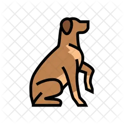 Obéissance du chien  Icône