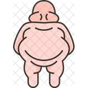 Obesity Overweight Body Icon