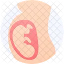 Obgyn Healthcare Medical Icon