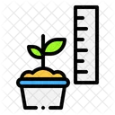 Observation Plant Growth Icon