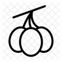 Obst Oliven Gemuse Symbol