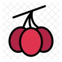 Obst Oliven Gemuse Symbol