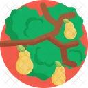 Landleben Obst Baum Symbol