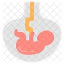 Obstetric Emergency Obstetric Hemorrhage Eclampsia Icon