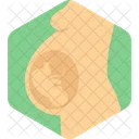 Obstetrics Pregnancy Pragnant Icon