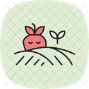 Obstfeld Obst Feld Symbol
