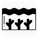 Ocean Icon