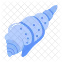 Ocean Shell Conch Seashell Icon