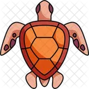 Ocean Turtle  Icon