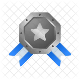 Octagon silver star badge  Icon
