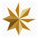 Octagram Icon
