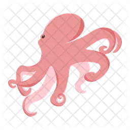 Octopus  Icon