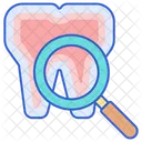 Odontologia Dentista Dientes Icono