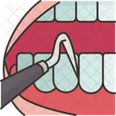 Odontologia Oral Diente Icono