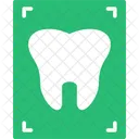 Medico Dentes Cuidados De Saude Icon