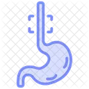 Icone De Ligne Duotone Oesophage Icône